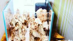 Mini Scape - Hardscape finish