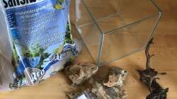 Mini Scape - Der Anfang