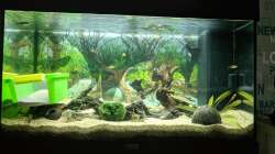 Provisorium, bloß andere Perspektive (09.06.2020)