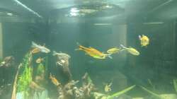 Erkundung der neuen Pfütze (09.06.2020)