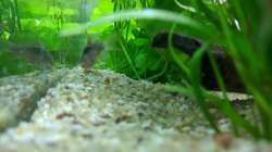 Rückzugsort (15.06.2020)