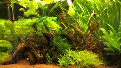 Nach einem knappen halben Jahr