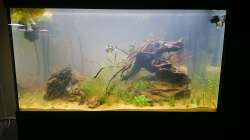 Das Becken direkt nach der Einrichtung, noch ohne Rückwand