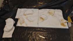 Dekoration im Aquarium Tanganjika-Becken