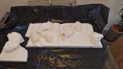 Dekoration im Aquarium Tanganjika-Becken