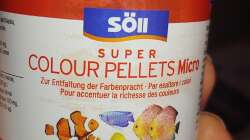 Aquarium Tanganjika-Becken