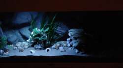 Mondlicht bei Vollmond