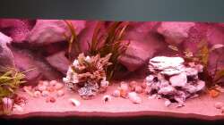 Sonnenuntergang - Stufe 2