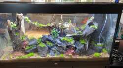 Dekoration im Aquarium Raumtrenner