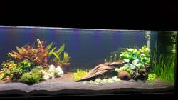 Bereich rechtsseitig mit Pflanzen besetzt 