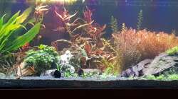 Neugestaltung 2/3 Mitte