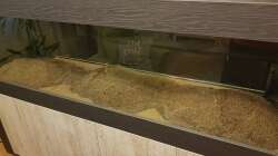 Substrat eingefüllt