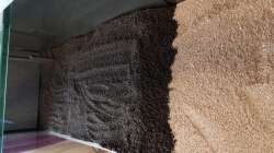 ...und den Kies drüber...