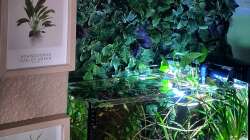 Beckenansicht von dem Flur aus