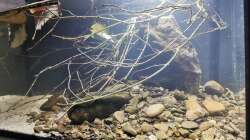 Detailansicht direkt nach der Einrichtung