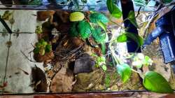 Beckenansicht von oben