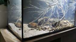 Schrägansicht direkt nach der Einrichtung