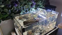 Ansicht von schräg oben direkt nach der Einrichtung