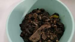 grobere Flusskieselstücke beim Auswaschen