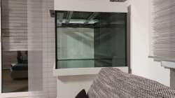 Aquarium Kugelfisch Brackwasser