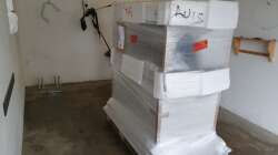 Aquarium Kugelfisch Brackwasser