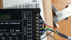 Technik im Aquarium Kugelfisch Brackwasser