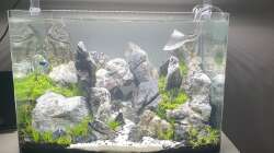 06.02.21 Becken wurde heute endlich befüllt, das Wasser ist natürlich noch etwas