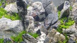 am nächsten Tag 07.02.21, das Wasser ist deutlich aufgeklart