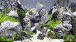 Aquarium Another World