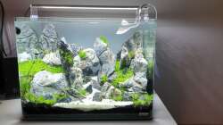 Aquarium Another World