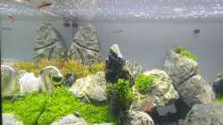 Aquarium Another World