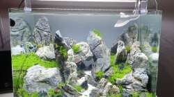 Aquarium Another World