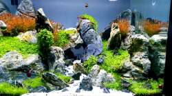 Aquarium Another World