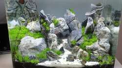 Aquarium Another World