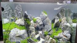 Aquarium Another World