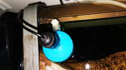 ´schwimmender´ Aufbau der pH-Sonde