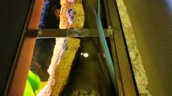 Der Raum hinter der Rückwand bietet Platz für verschiedene Filtermedien