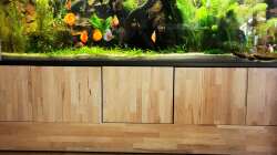 2 Monate nach Inbetriebnahme