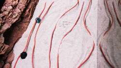 Das Verlegen des Bodenfluters erfolgt hier höher als gewöhnlich da der Sand vergleichsweise