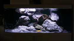 Aquarium Vivaline Rocks