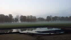 Teich im Morgennebel