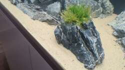 Dekoration im Aquarium AQ 01