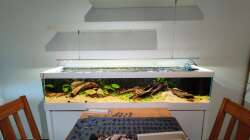 Das Becken nach ein paar Tagen