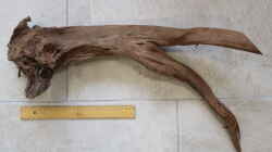 Mangrovenwurzel XL 60 cm