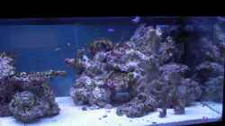 Aquarium Becken 4394