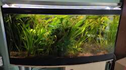 Vor der Umgestaltung