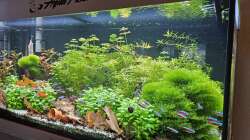 Aquarium RIO 180 am 16.11.2025