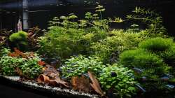 Aquarium RIO 180 am 16.11.2025