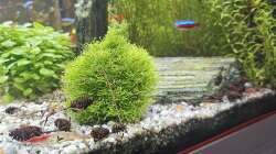 Aquarium RIO 180 am 27.08.2025