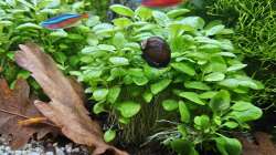 Aquarium RIO 180 am 16.11.2025